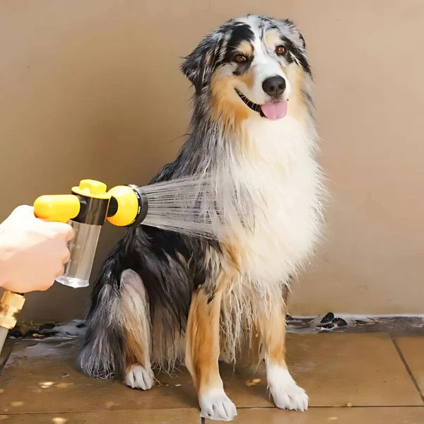 Dog Pressure Washer